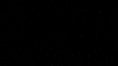 WV Babe perfect star galleries