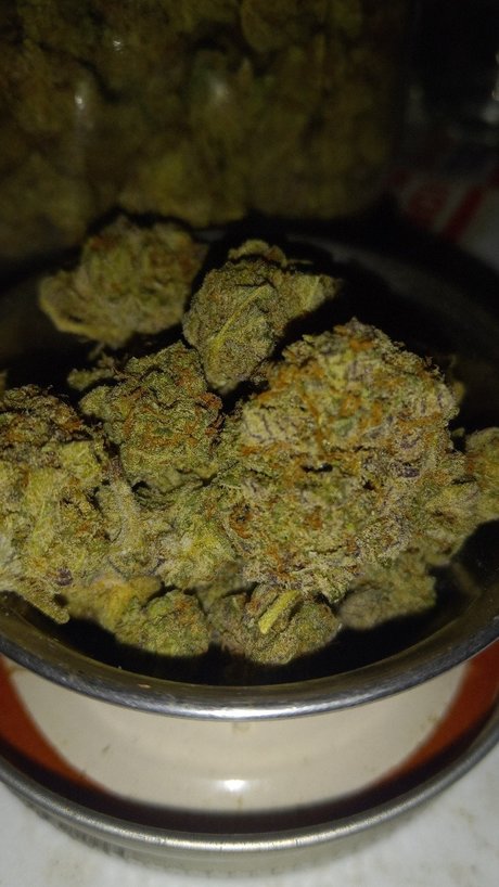 Donalddigbick sex actress img