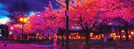 Duncan CM sex actress pics