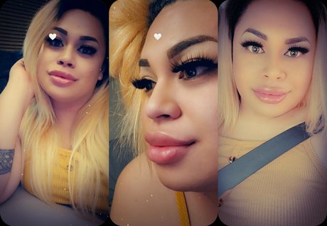 Ts Vinah porn star galleries