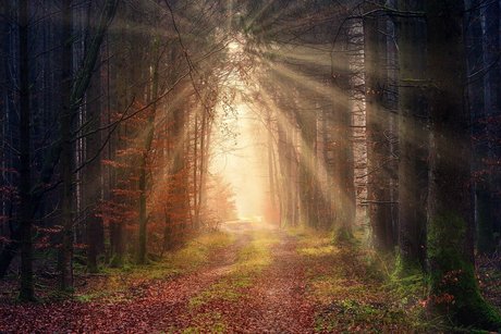 big ass pussy onlyfans free nude img