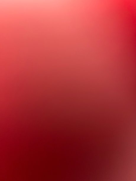 Jason Hollander best star image