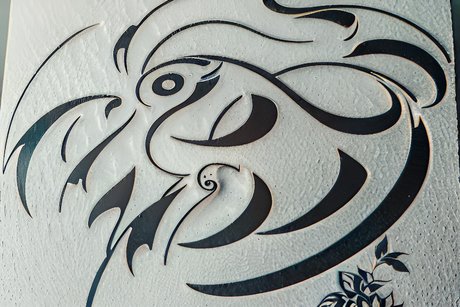 Ferrisss sex model gallery