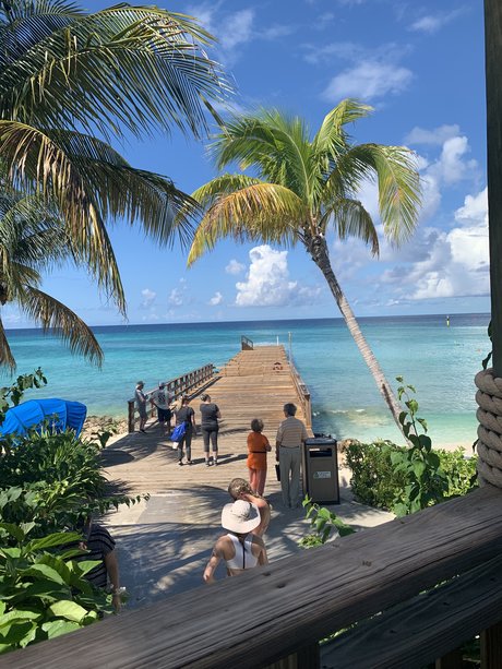 Willis pornstar perfect picture