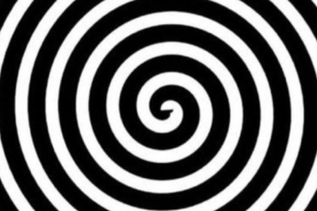 Hothoneypot pornstar nudes pic