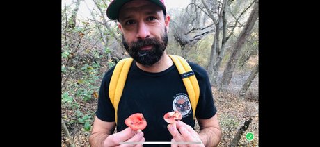 Millo erotic pornstar image