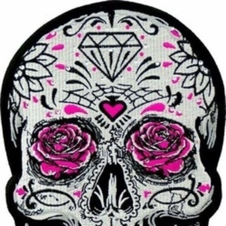 R econ free model picture