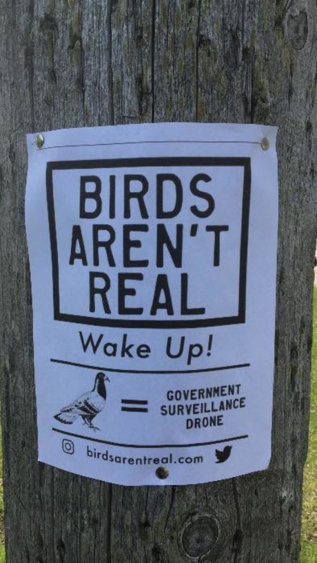 Max Pain nice actress img