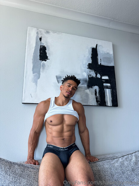 TheShawnRaymond Quick model image