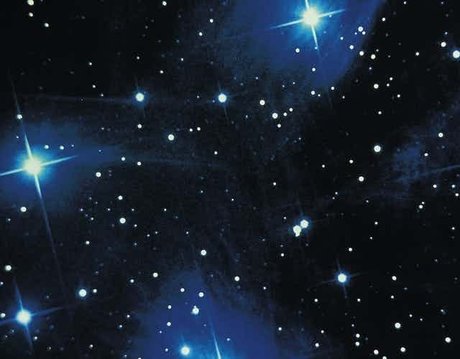 Ninni pornstar nude photo