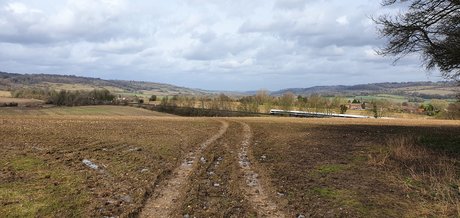 Oli Jason nice model gallery