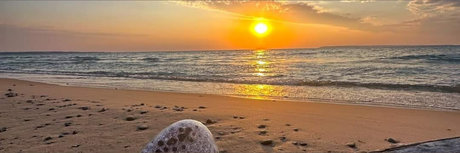 Trans witch pornstar art pictures