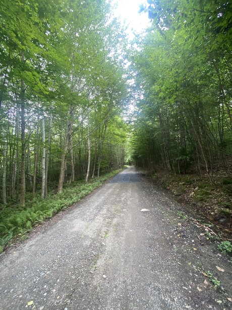 Heroe perdido9 high quality pornstar images