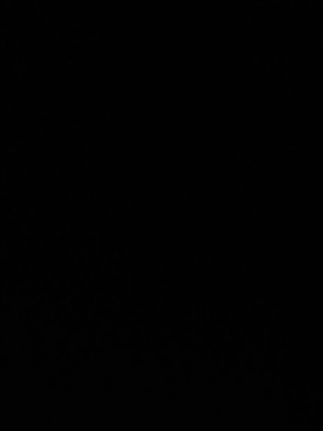 User202498 star beautiful pics