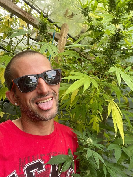 PAC MAN model naked galleries