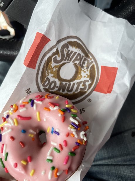 Bob Terwillicker high quality model gallery