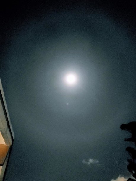 Goku Black sexy model archive