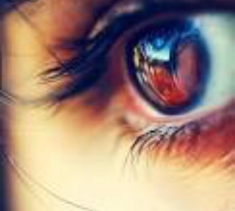 Mansour free actress gallery