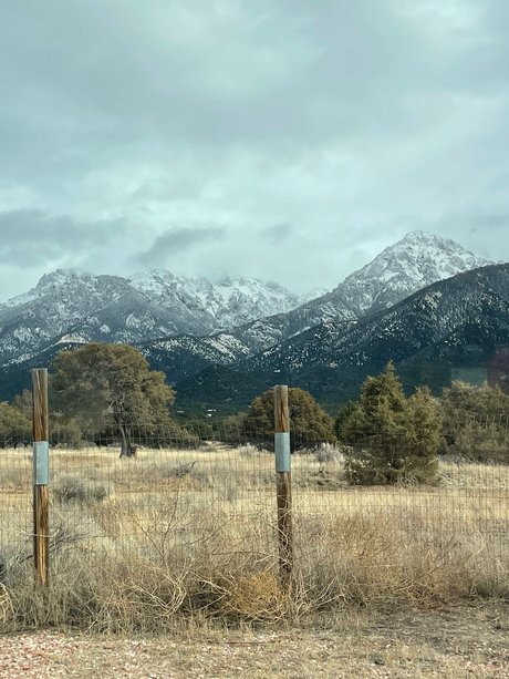 Summer StaRR nice star photo