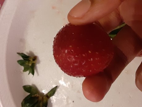 Tha Fat Goddess sex actress img