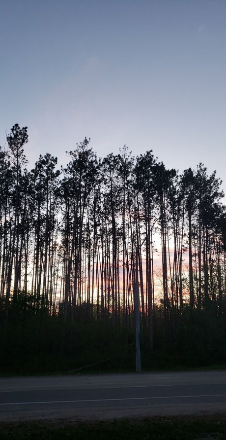 Alli Rose model erotic gallery