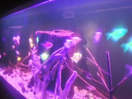 wala creative nude model gallery