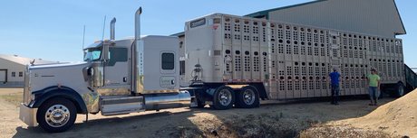 ai onlyfans hot porn photo