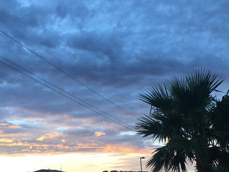 Rada Rada best model images