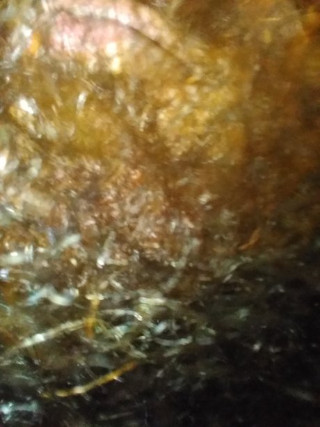 Keychawn hot pornstar photos