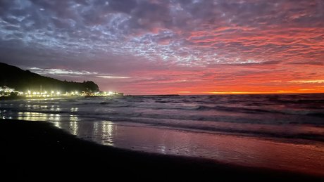 EVAN HARVEY beautiful actress archive