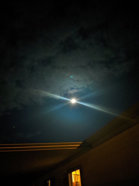 Ryan Joslin nudes model pic