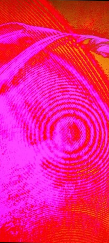 Reginald Regionz pornstar free galleries