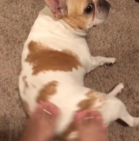 fat tits onlyfans best photo