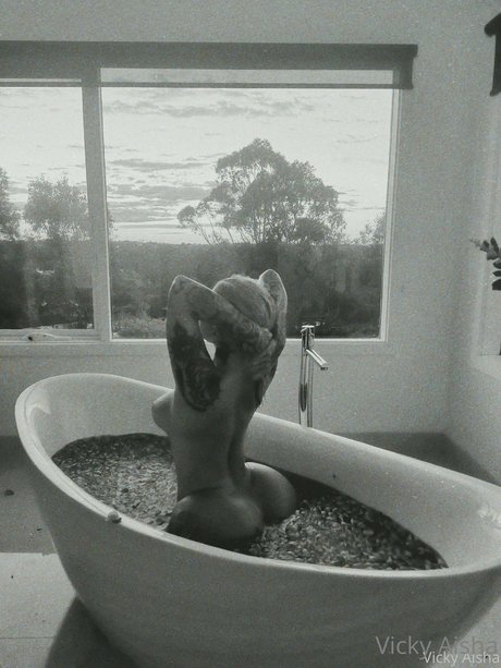 Vicky aisha star top image