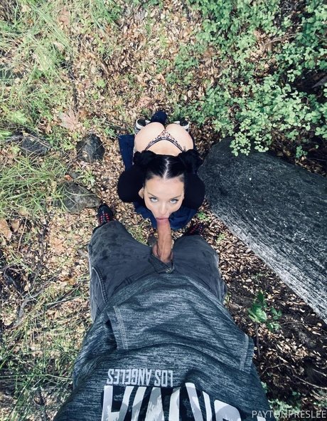 Payton Preslee star art image