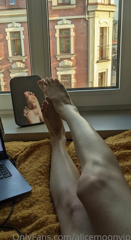 Alice Moon beautiful pornstar galleries