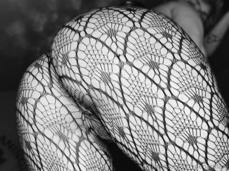 Ryden Armani Profile pic