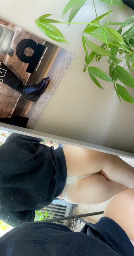 Powrice best star galleries