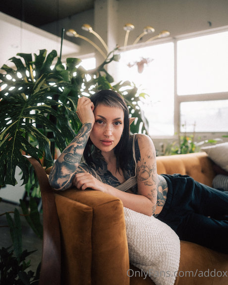 hottest trans onlyfans exclusive img