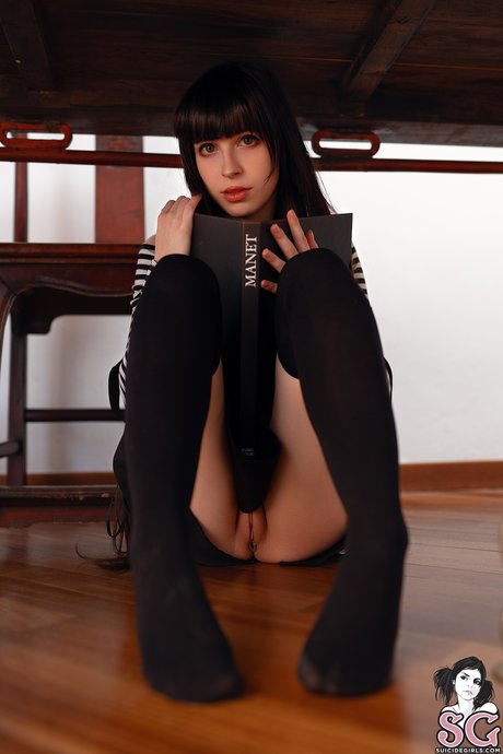 Loligaia star free photos