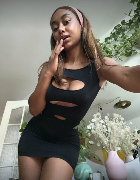 llleasy star galleries