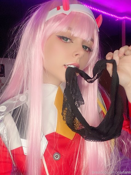 Breadcos model art picture