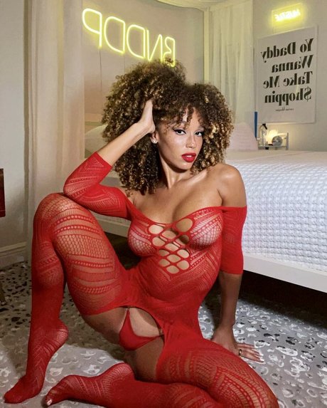 Catdagreat perfect star pictures