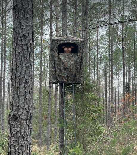 Kim Hennecy model beautiful pic