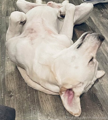 im over covid pornstar free img