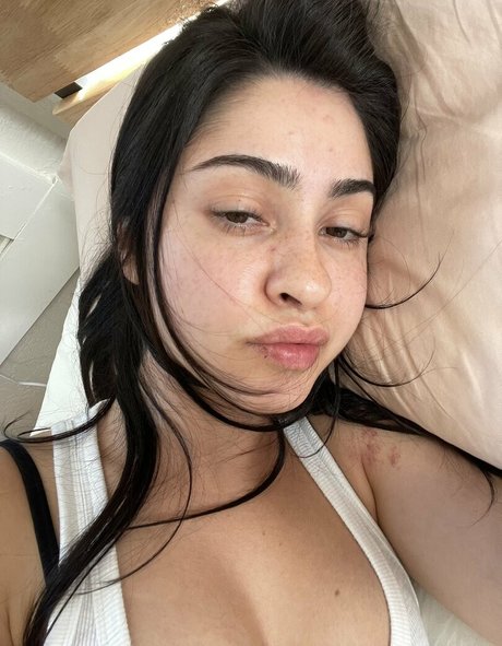 chovvder star beautiful photo