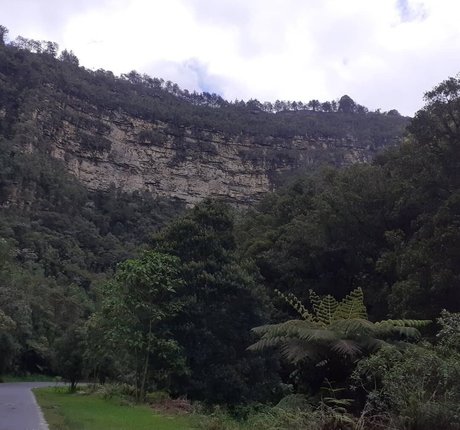 MakyMakys perfect actress images