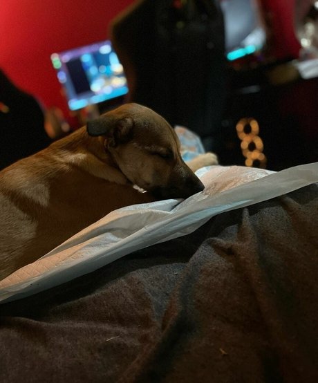 saggy milf onlyfans nice img