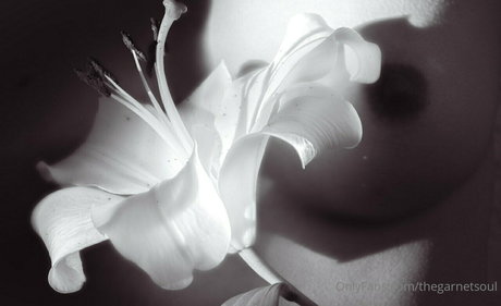 anal whore onlyfans free sex pics