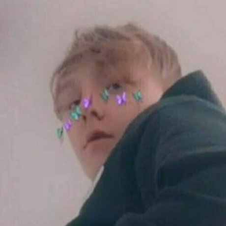 lcumdumbster star top picture